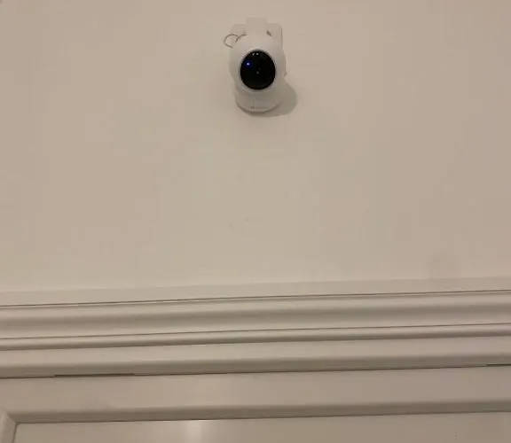 Appartement Grand T2 Cours Napoléon A *