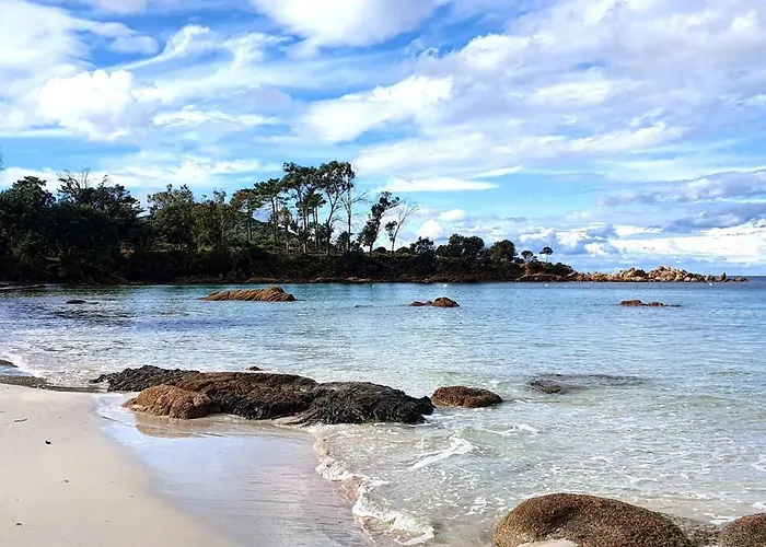 Grand T2 Cours Napoléon A Appartement *