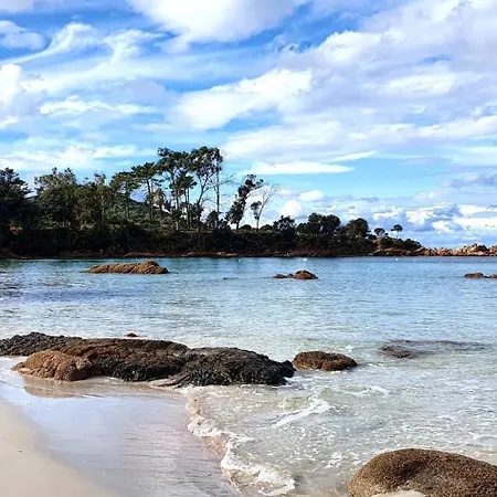 Grand T2 Cours Napoleon A Apartment *